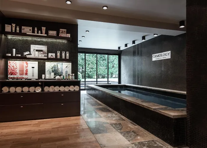 De L'octroi Hotel Carcassonne